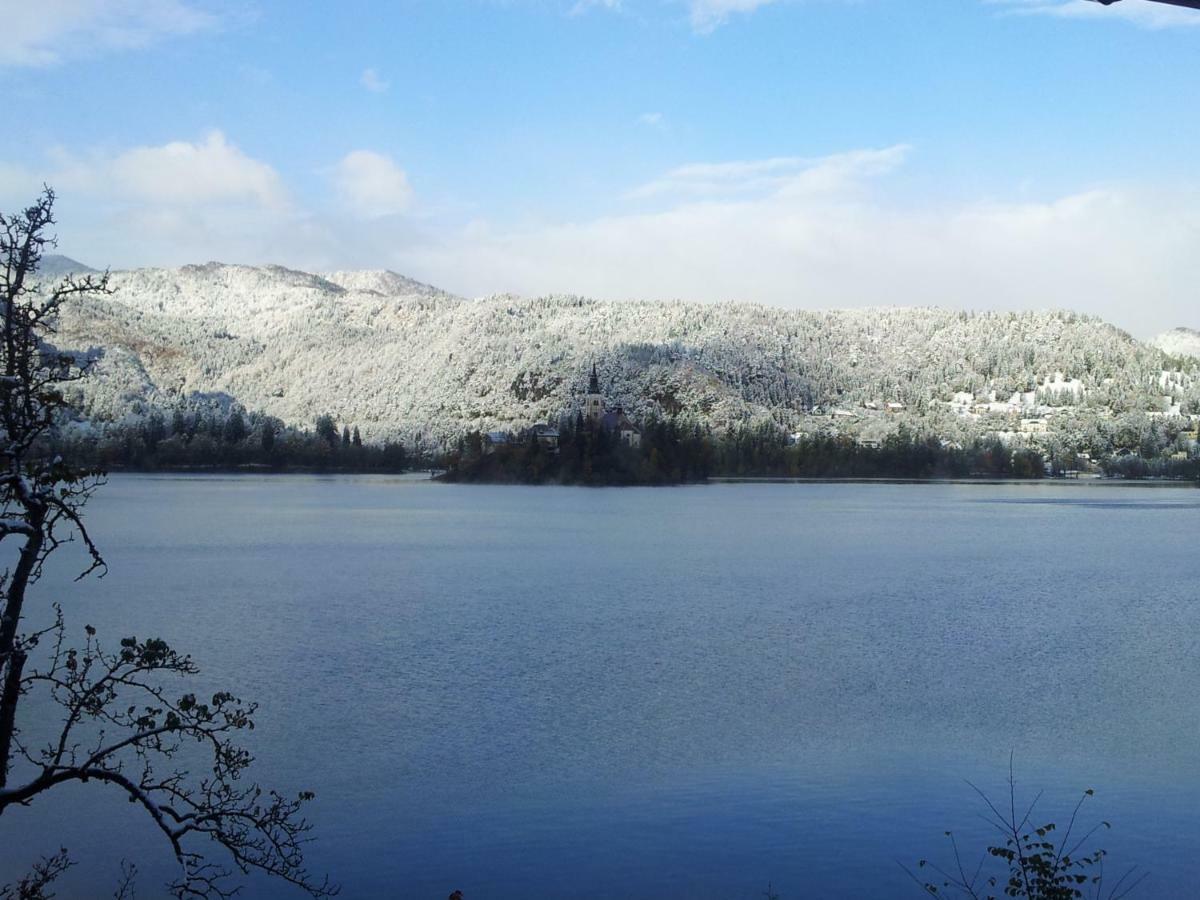 Pletna Lake View Apartment 布莱德 外观 照片